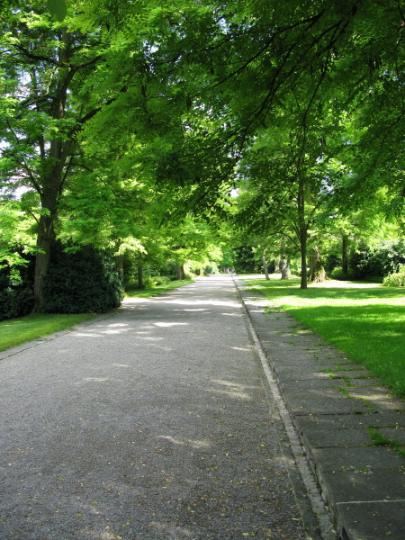 IMG 0094 IMG 0094