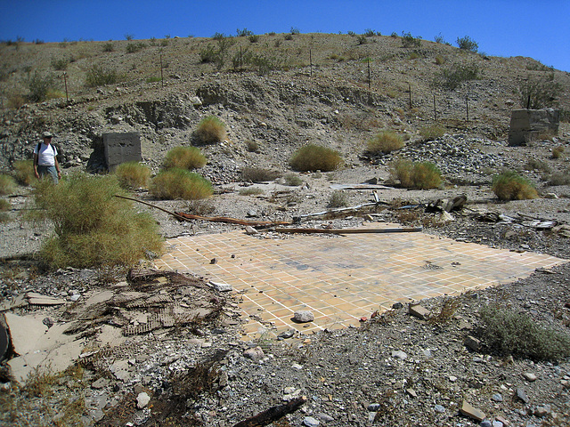 Homestead Remains at Willis Palms (1018)