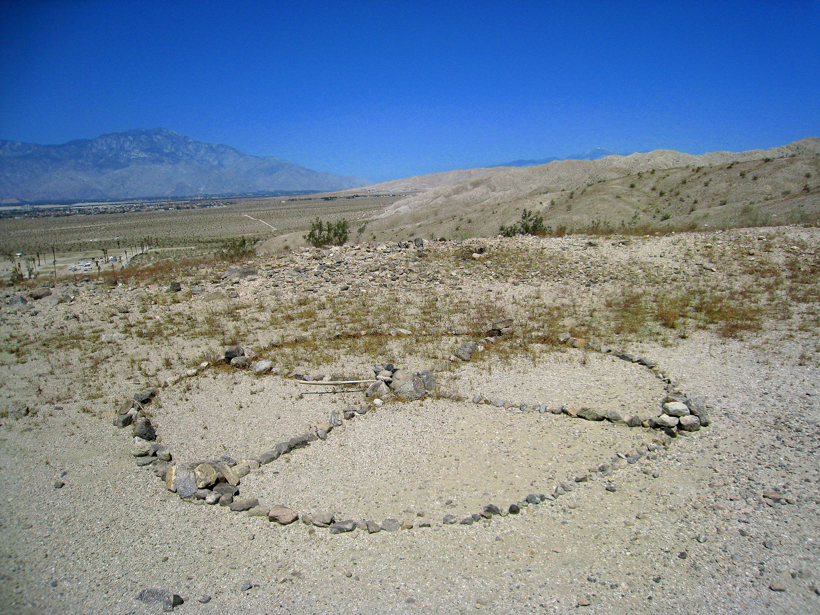 Rock Art at Willis Palms (1029)