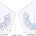 Burning Man 2008 Map Compared to 2007