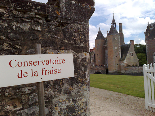 Conservatoire de la fraise