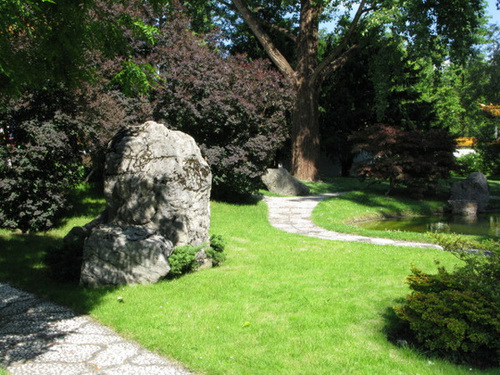 IMG 0239