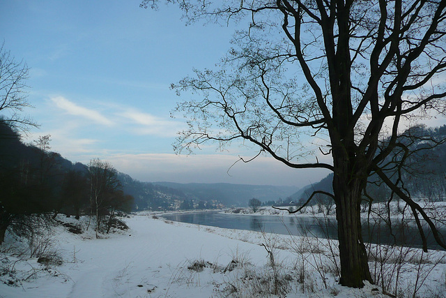 Spaziergang an der Elbe