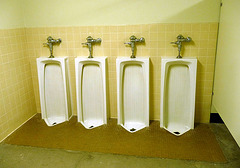 Urinals at Palm Springs Polo Grounds (0129)