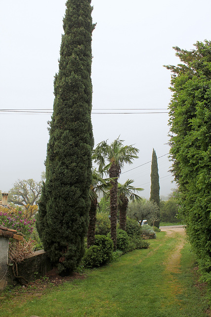 Le chemin vert chez  les voisins