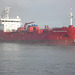 Tankschiff  Stolt Sanderling im Morgennebel