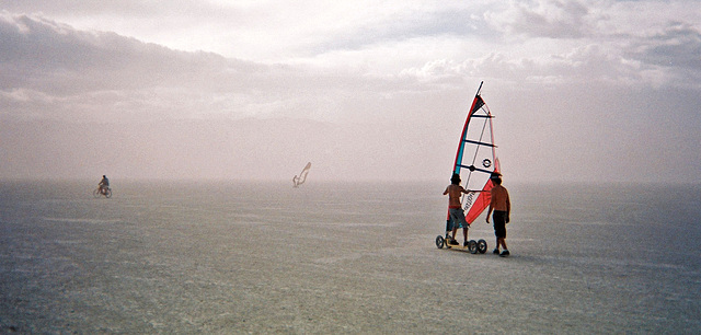 Wind Surfers (044-20A)