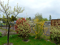 notre jardin Issoudun