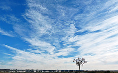 ciel d'hiver de camargue