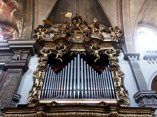 Basilica S. Antonino - organ