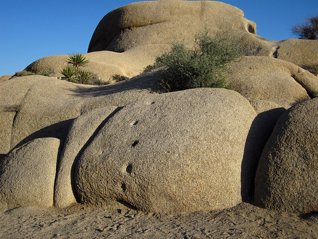 Alien Footprints At Jumbo Rocks (4614)