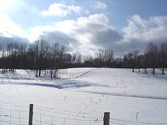 L'hiver à l'abbaye de St-Benoit-du-lac au Québec - Février 2009