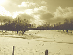 L'hiver à l'abbaye de St-Benoit-du-lac au Québec - Février 2009 -  Sepia