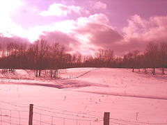 L'hiver à l'abbaye de St-Benoit-du-lac au Québec - Février 2009- Effet coucher de soleil