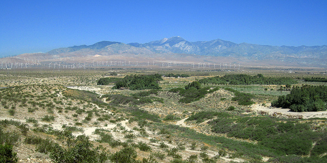 Mt San Gorgonio and Windmills (1050)