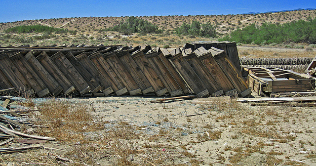 Windows In The Desert (1060)