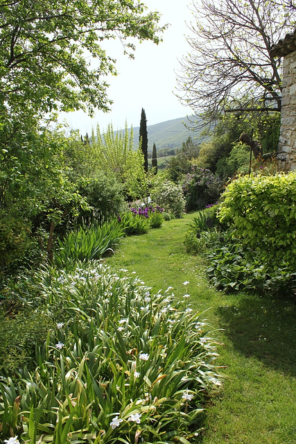 Le chemin vert