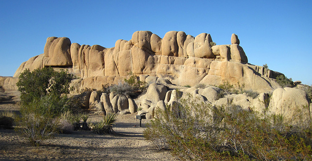 Jumbo Rocks (4611)