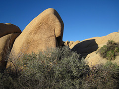 Jumbo Rocks (4619)