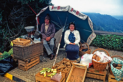 madeira mountain market madeira mountain market