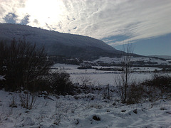 Blanco el cielo, blanca la tierra.