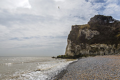 St Margaret-at-Cliffe -  20130413