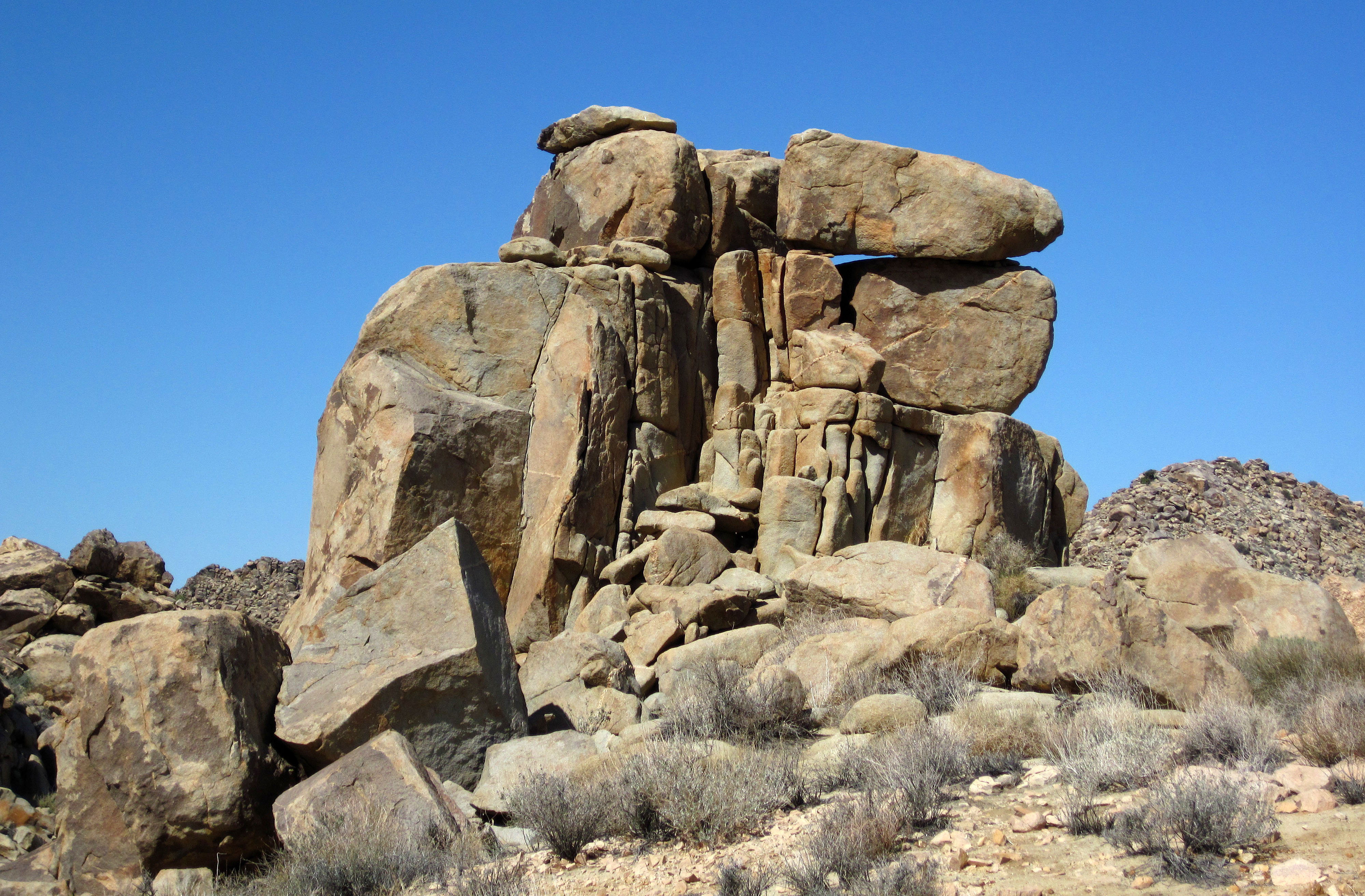 Joshua Tree National Park (4627)