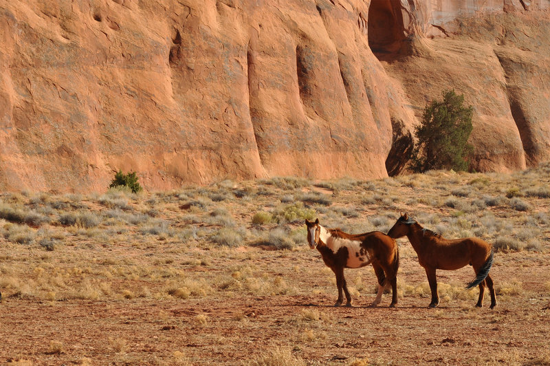 Monument Valley