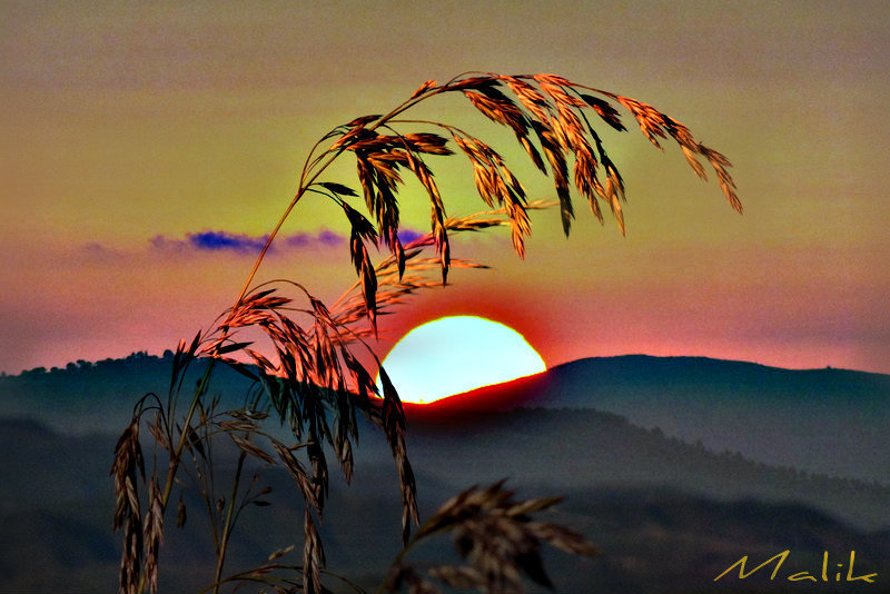Bonsoir..!
