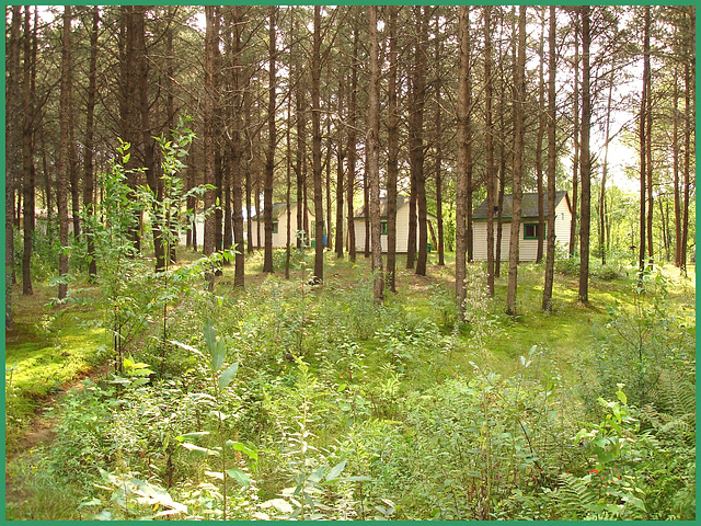 Chalets en ligne sur le chemin de la chapelle  /  Chalets on the small chapel path - 20 août 2006.