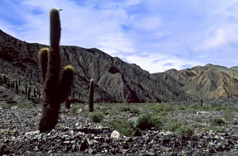 Provincia de Salta