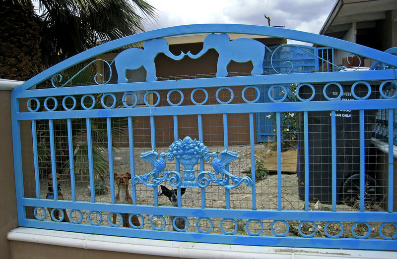 Elephant Fence (0823)