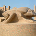 Le Scarabée Porte-bonheur - Louxor, Egypte