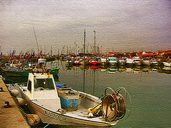 bateaux saintois