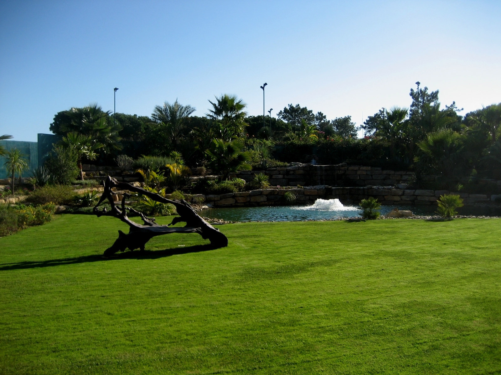 Algarve, Vila Sol Hotel, sculpture made from a trunk