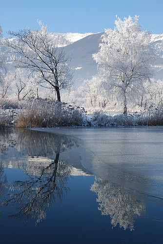 Covered in frost