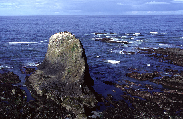 Cormorant Rock