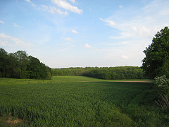 Val d'Ancoeur