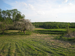 Val d'Ancoeur