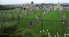 Italian Cemetery (1297)