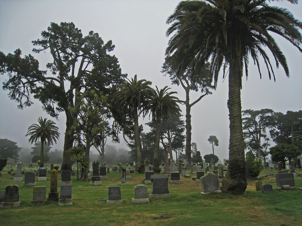 Olivet Cemetery (1276)