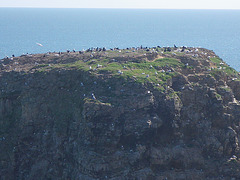 Marsden rock, 2