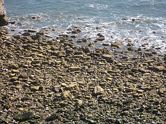 Marsden bay 6