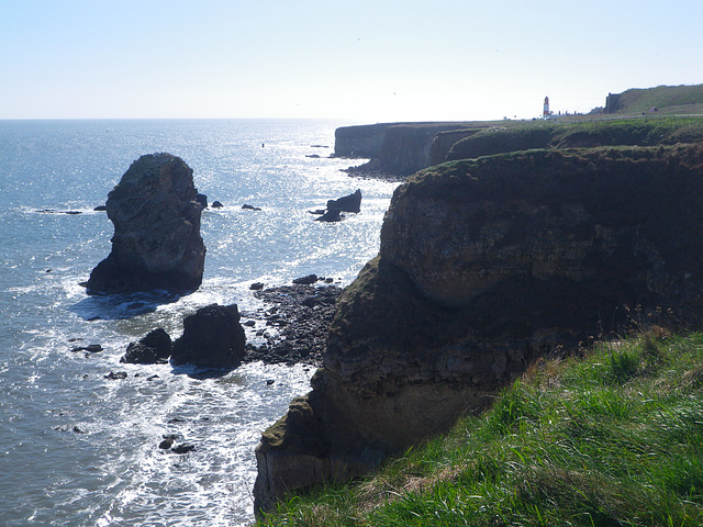 Marsden bay 7