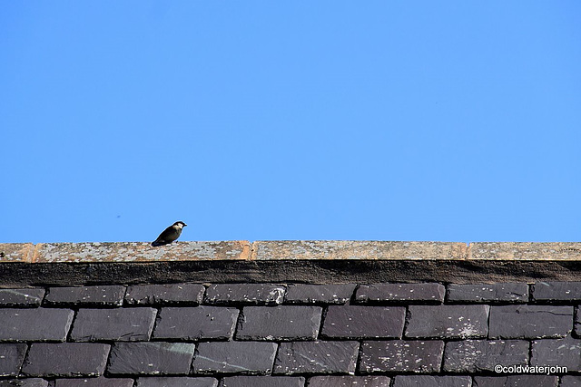 Blue skies and sunshine - summer is here in May!