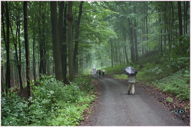 etwas Regen beim  wandern /some rain while we walk