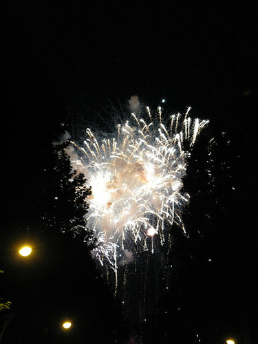 IMG 0367