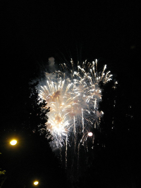 IMG 0368