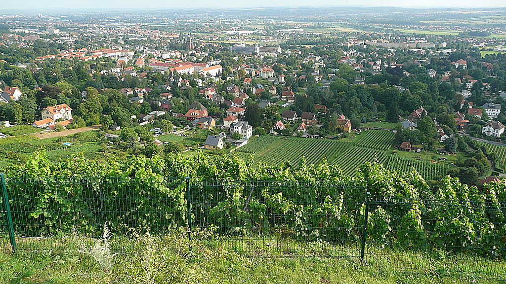 Blick vom Bismarckturm auf Dresden und Radebeul - August 2008