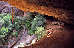 Canyon Overlook Trail